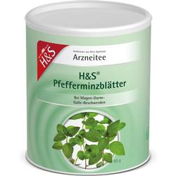 Grüner Behälter mit H&S Pfefferminzblätter, geeignet bei Magen-Darm-Beschwerden.